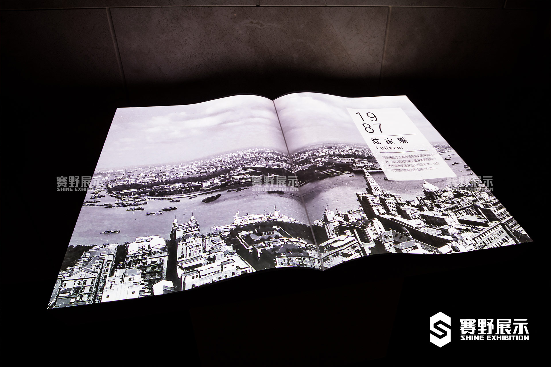 浦东开发开放30周年艺术展